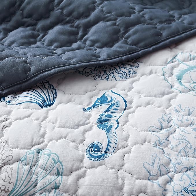 Wonderful Cotton Coastal Quilt Set King Size, Shell Stitched Quilting Reversible Cotton Bedding Cover with 2 Shams, Nautical Beach Lightweight Bedspreads Coverlet Summer Bedding, 106"x94"