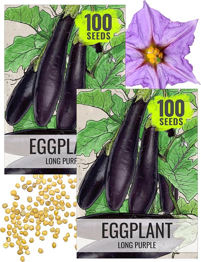 Seed Needs Eggplant Seeds for Planting Long Purple Eggplants - Non-GMO Heirloom & Untreated Annual Crops - Grow a Home Grown Vegetable Garden Outdoors (2 Packs)