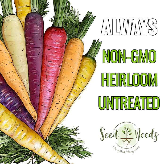 Seed Needs Carrot Seeds for Planting Rainbow Carrots - Non-GMO Heirloom & Untreated Veggie Seed to Grow a Home Grown Vegetable Garden in Fall or Spring (5 Packs)