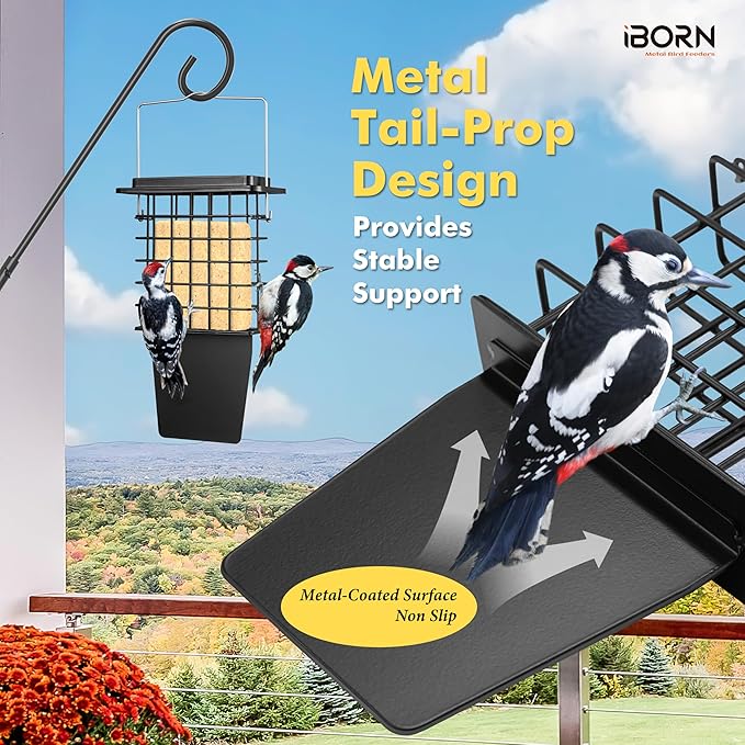 iBorn Metal Suet Feeder with Tail Prop | Durable Suet Cake Cage Bird Feeder for Outdoors，Woodpecker Feeder for Outside Hanging，Heavy-Duty Suet Holder,Easy Clean & Refill,1 Pack,Black
