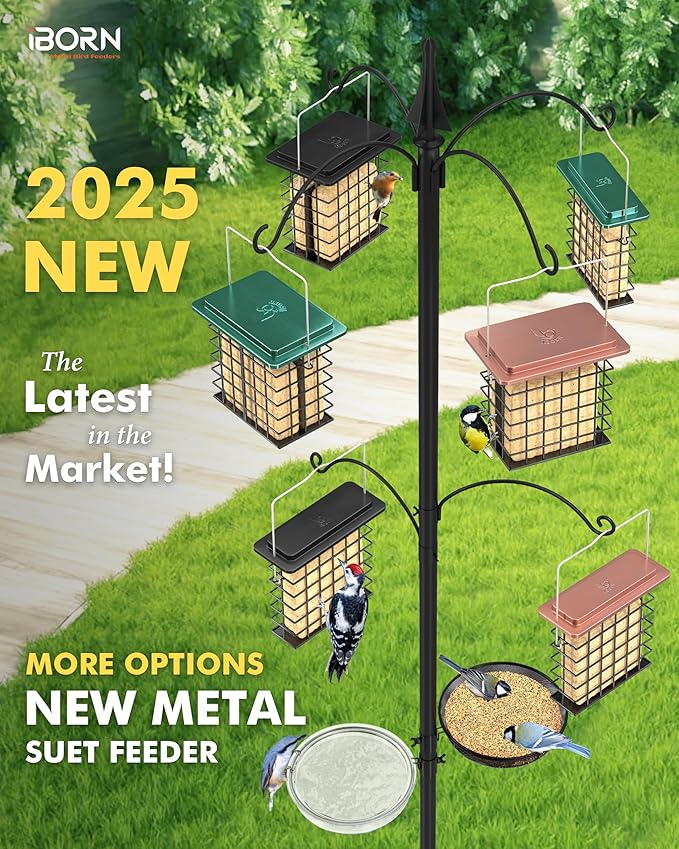 iBorn Suet Feeder Suet Bird Feeders [Single Capacity] for Outside Hanging with Taller Grid for Woodpecker,Metal Green（Pack of 2）