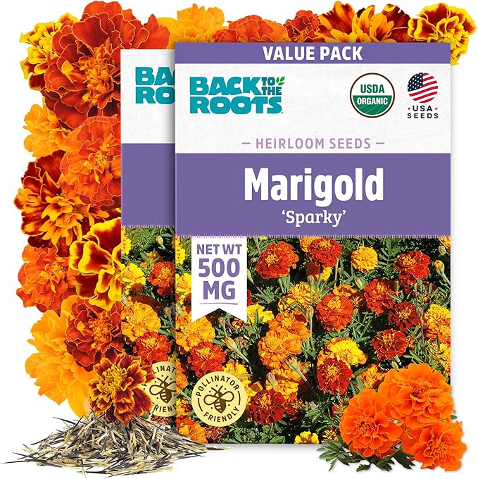 Back to The Roots 100% Organic Heirloom Seeds - Marigold Flower Value Pack (500mg Total)