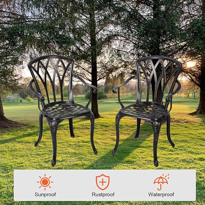 Patio Chairs Set of 2, Cast Aluminum Outdoor Dining Chair for Garden, Backyard, Balcony (Bronze)