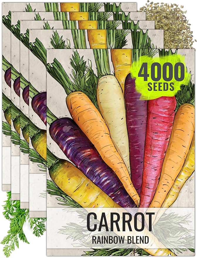 Seed Needs Carrot Seeds for Planting Rainbow Carrots - Non-GMO Heirloom & Untreated Veggie Seed to Grow a Home Grown Vegetable Garden in Fall or Spring (5 Packs)