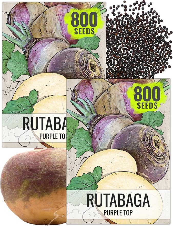 Seed Needs Rutabaga Seeds for Planting Purple Top Rutabagas - Non-GMO Heirloom & Open Pollinated Vegetable Seeds to Plant an Outdoor Home Grown Veggie Garden (2 Packs)
