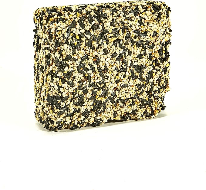 Kaytee Cardinal Seed Cake, Wild Bird Food, 1.85 Pounds (Pack of 2)