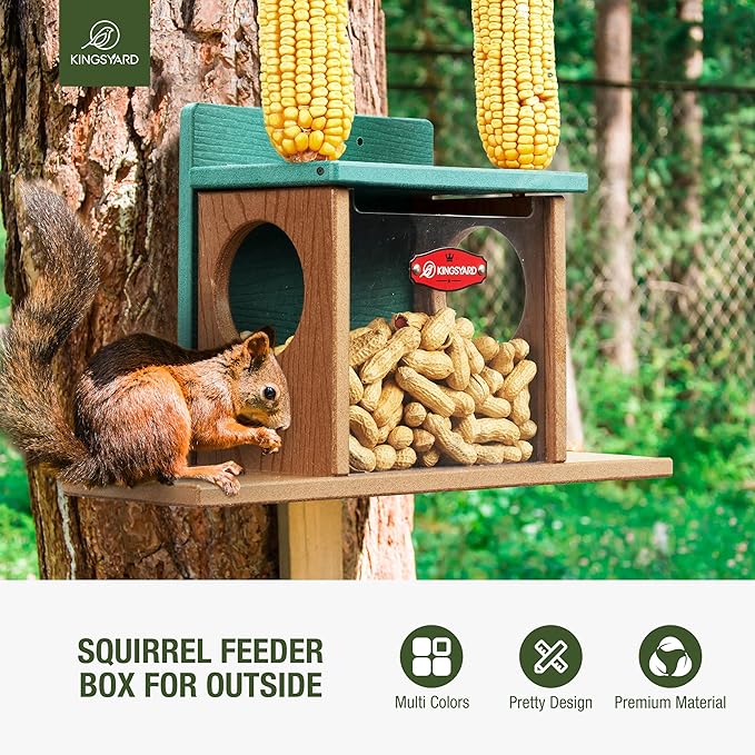 Kingsyard Squirrel Feeder Box for Outside, Recycled Plastic Squirrel Feeder Box with Corn Cob Holders, Easy to Refill & Clean, Weather-Proof Roof (Green)