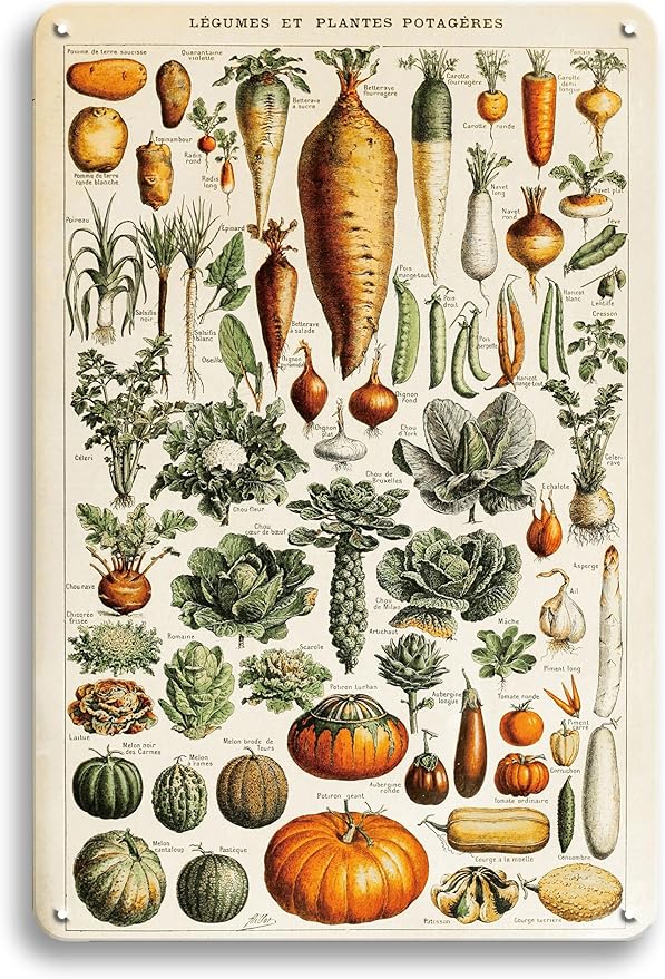 Vintage French Vegetables and Herb Garden Plants Metal Tin Yard Sign - Outdoor Plant Art Decor for Backyards, Greenhouse, Outside Patio Porch - Unique Wall Art Hanging Decor 8"x12" Gardening Gift for Women Plant Lovers