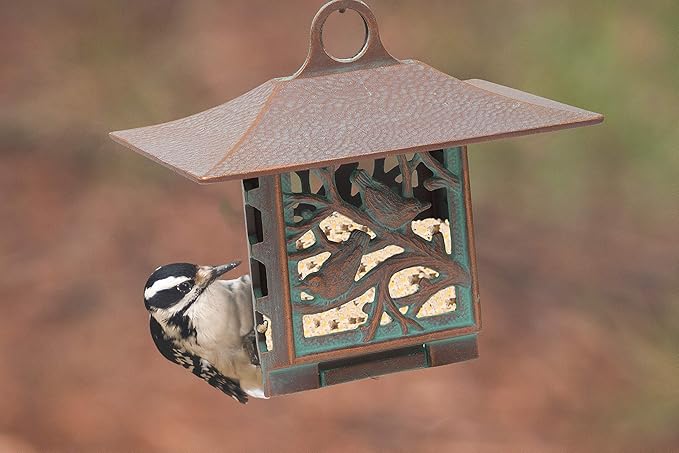 Whitehall Products Nuthatch Suet Feeder, Copper Verdi