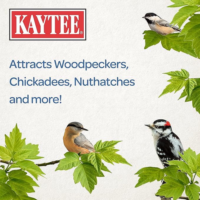 Kaytee Woodpecker Seed Cake, Wild Bird Food, 1.85 Pounds (Pack of 24)