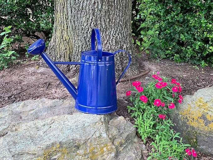 Metal Outdoor Watering Can, 1.2 Gallon Galvanized Steel with Sprinkler Head – Blue