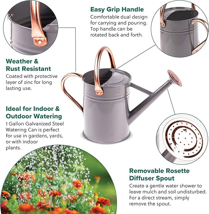 Gardman R34884 1 Gallon Watering Can, Cool Gray