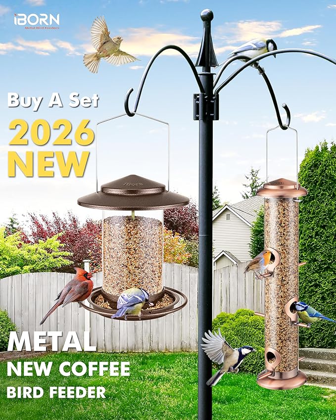 iBorn Bird Feeder for Outside Hanging,Bird Seed for Outside Wild Bird Feeders for Garden Yard Outdoor Decoration,Round Roof Design Coffee