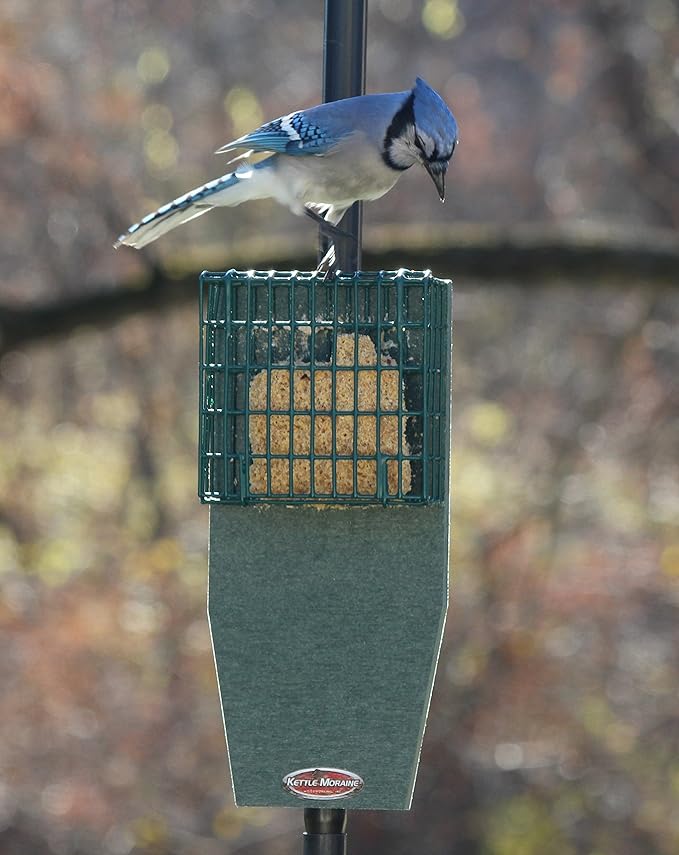 Kettle Moraine Recycled Pole Mount Single Suet Cake Feeder w/ Woodpecker Tail Prop