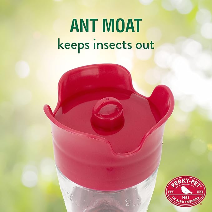 Perky-Pet 204CP-4 Favored Pinch-Waist Glass Hummingbird Feeder with Built-in Ant Moat and Bee Guards - 16 oz (Pack of 2)