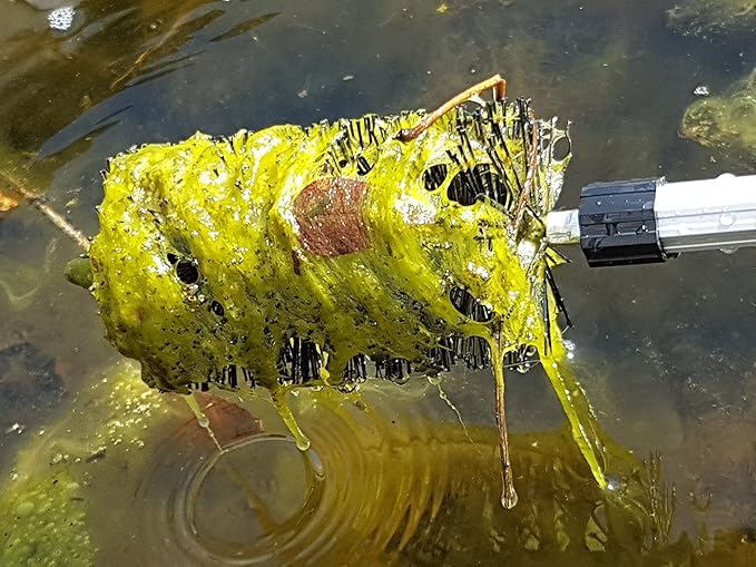 PondH2o Water Garden Koi Fish Pond Brush with Telescoping Handle to 70 Inch, Scrubbing Brush for Routine Water Garden Koi Fish Pond Maintenance & Cleaning