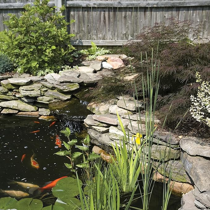 Tetra Pond Filtration Fountain Kit, Includes 3 Fountain Attachments