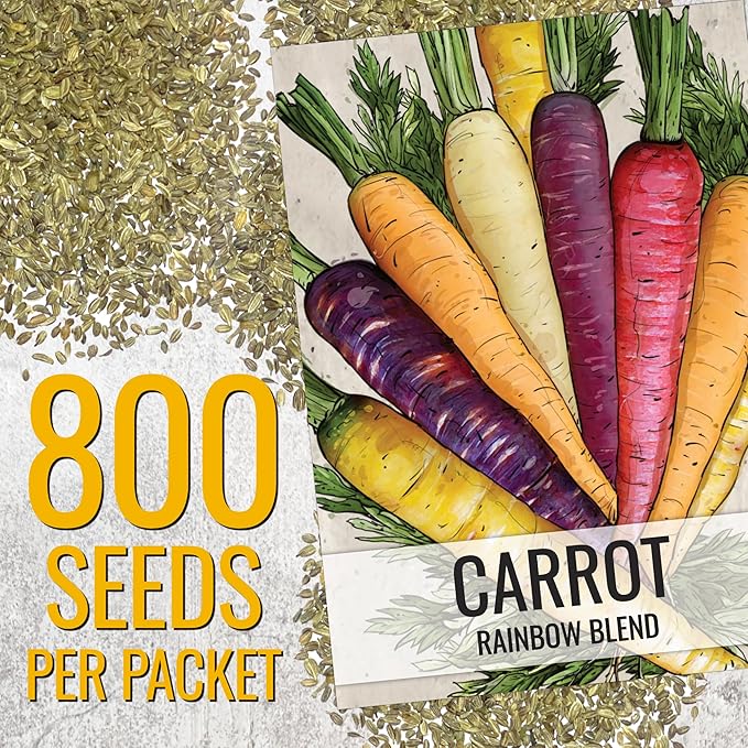 Seed Needs Carrot Seeds for Planting Rainbow Carrots - Non-GMO Heirloom & Untreated Veggie Seed to Grow a Home Grown Vegetable Garden in Fall or Spring (5 Packs)