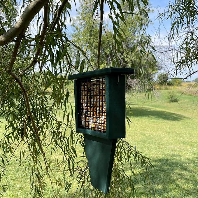 Songbird Essentials Tail Prop Suet Feeder - Recycled Plastic Bird Feeder with Coated Wire Cage for Bird Seed Cakes - Hunter Green