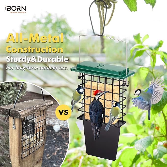 iBorn Suet Feeder with Tail Prop,Woodpecker Feeder,Suet Feeders for Outside Hanging,Suet Bird Feeders for Outdoors,Heavy-Duty Suet Cage,Suet Holder,Rainproof Roof,Easy Clean and Refill,1 Pack,Green