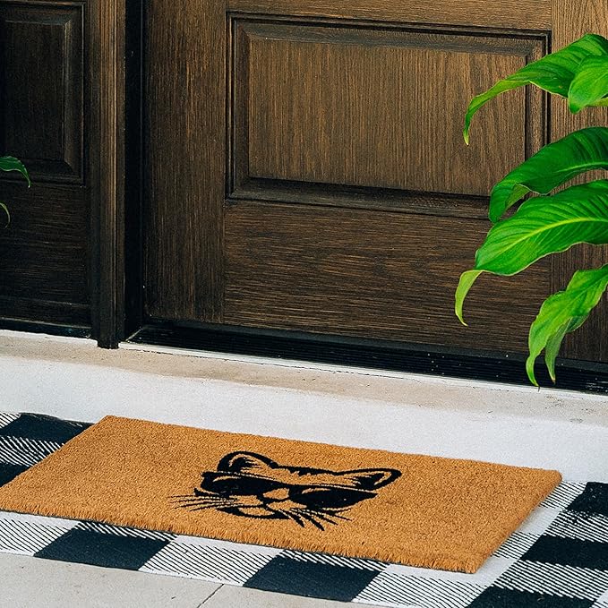 THEODORE MAGNUS Door Mat - Cat Welcome Mat for Front Door with Non-Slip Backing - Durable Doormat - Perfect for Outside Entrance Matt - Outdoor/Indoor - Whiskers Swag - 17" x 30"