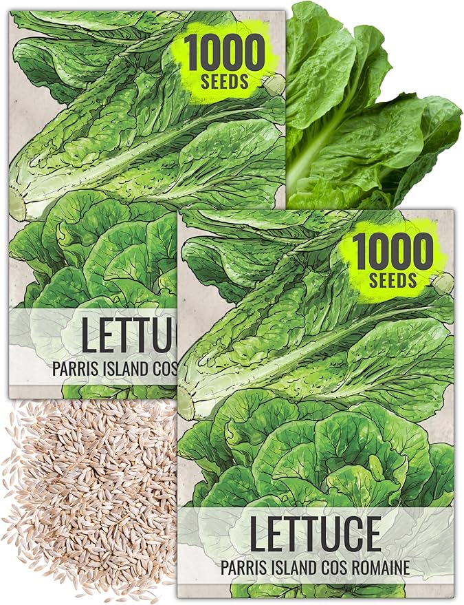 Seed Needs Romaine Lettuce Seeds for Planting Parris Island COS - Non-GMO Heirloom & Untreated Annual Cool Weather Crops - Grow a Home Grown Outdoor Vegetable Garden (2 Packs)
