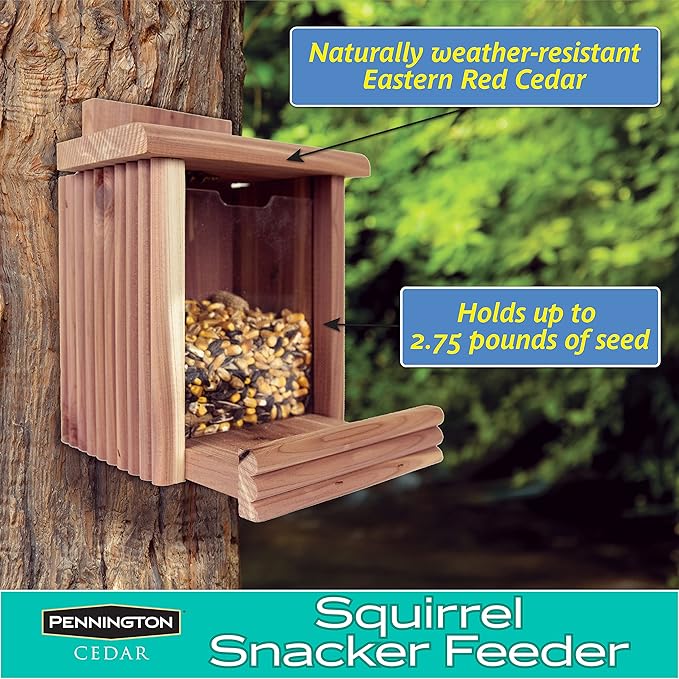 Pennington Cedar Squirrel Snacker Feeder, 2.75 LB Capacity