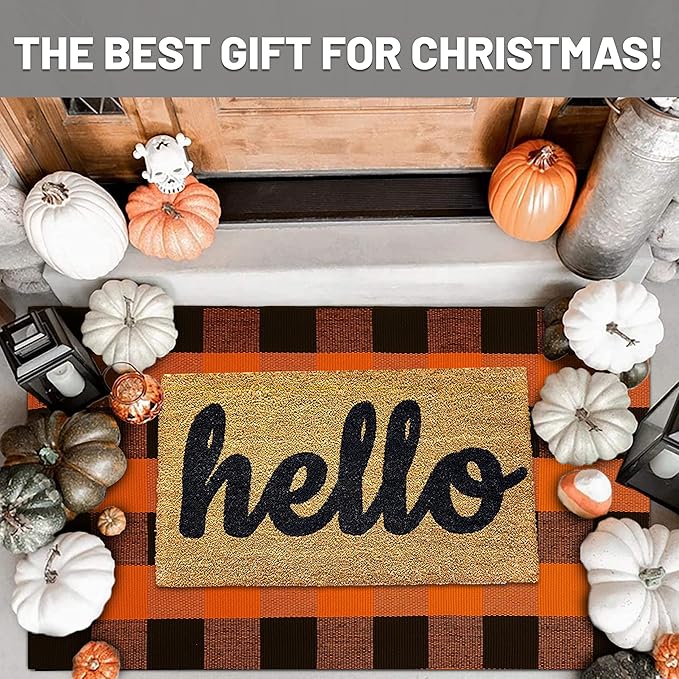 IOHOUZE Fall Buffalo Plaid Check Rug Outdoor Doormat 27.5 x 43 Inches Washable Woven Outdoor Indoor Welcome Mats for Front Door/Farmhouse/Entryway/Home Entrance Black and Orange Outdoor Rug