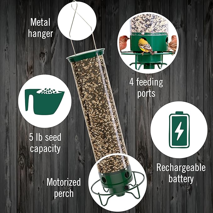 Droll Yankees Squirrel Proof Bird Feeders for Outdoors - YF-M - Flipper, Collapsible Perches, 5-Pound Seed Capacity, Green