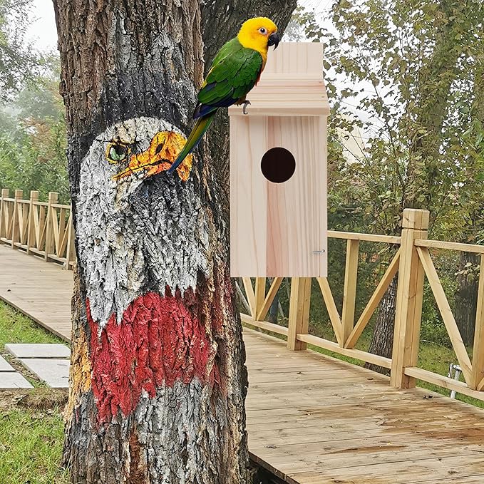 2 Pack Bird Houses for Outside,Bluebird Box Houses for Outside,Cedar Finch Swallow Wren Hummingbird Birdhouse,DIY