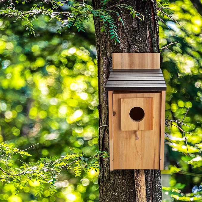 CARTMAN 0.5 Inch Thick Blue Bird Box House, Wood Bird Houses for Outside, Hummingbird House for Outside Clearance Garden Country Cottages, 2PK