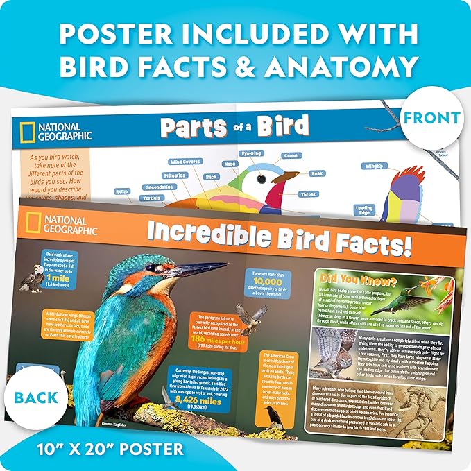NATIONAL GEOGRAPHIC Creative Conservation™ Build Your Own Birdhouse Kit – DIY Wooden Birdhouse Craft with Paints, Brush, Bird-Watching Journal & Educational Poster for Kids, Bird House Craft