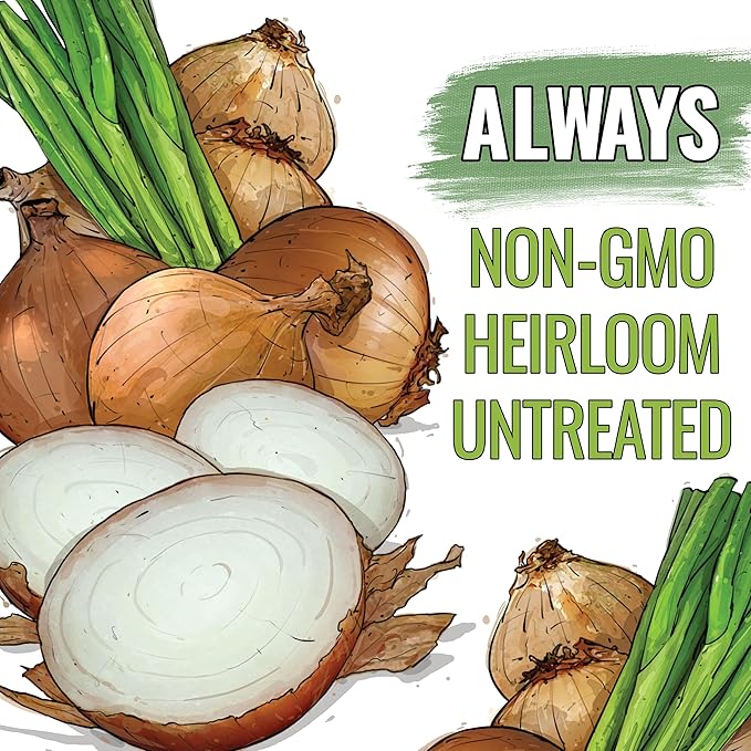 Seed Needs Onion Seeds for Planting Walla Walla Long Day Onions - Non-GMO Heirloom & Untreated Vegetable Seeds to Plant an Outdoor Home Grown Veggie Garden (2 Packs)