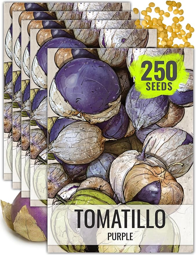 Seed Needs Tomatillo Seeds for Planting Purple Tomatillos - Non-GMO Heirloom & Untreated Annual Veggie Seed to Plant a Home Grown Vegetable Garden Outdoors (5 Packs)