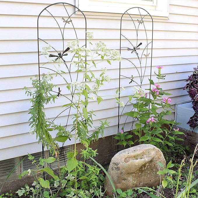 Sunnydaze 56-Inch Dragonfly Delight Outdoor Plant Trellis - Metal Garden Trellis for Climbing Plants - Set of 2 - Black