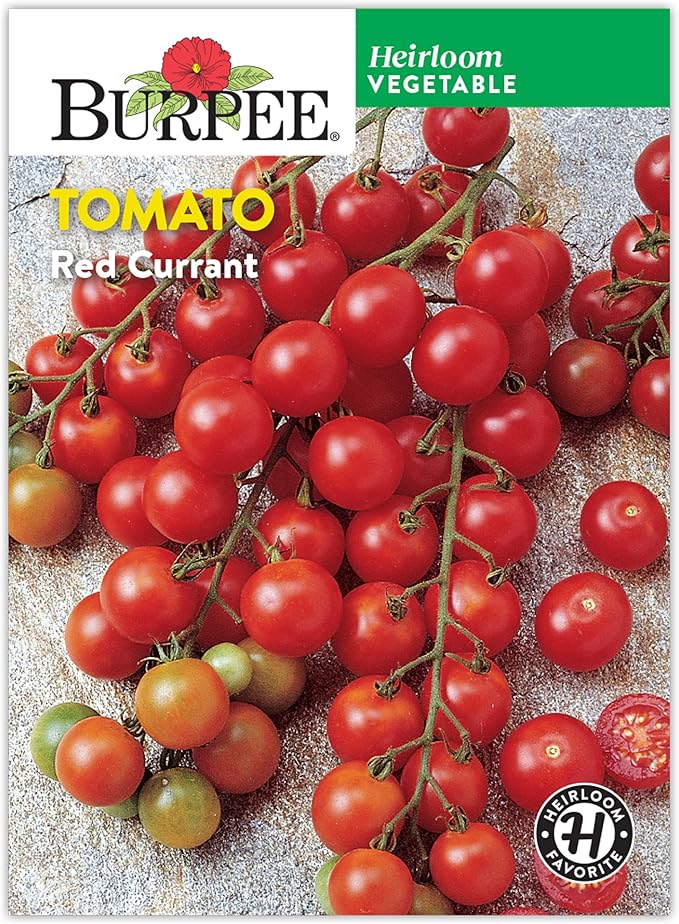 Burpee 'Red Currant' Heirloom Tomato Seeds - Non-GMO, Indeterminate, Heirloom, Cherry Tomato, 60mg Seed Packet for Home Gardening