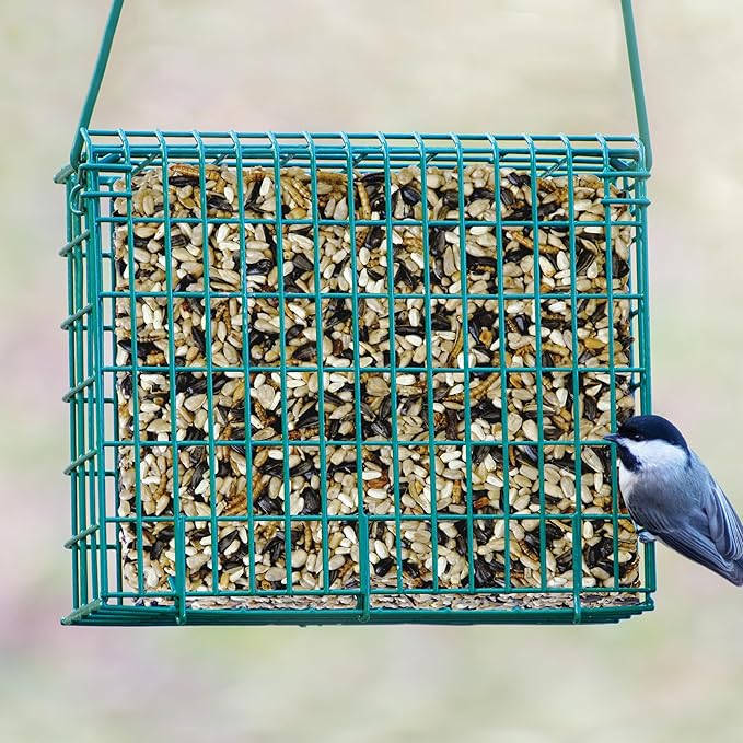 Kaytee Wild Bird Seed & Mealworm Seed Cake Food For Bluebirds, Chickadees, Woodpeckers and More, 1.4 Pound