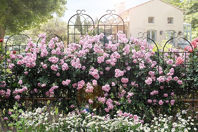 LZRS 4 Pack 83x20in Rustic Iron Arch Decoration Garden Trellis with Black Metal Coating – Perfect for Supporting Climbing Plants Outdoor, Roses, Vines, Flowers, and Vegetables.