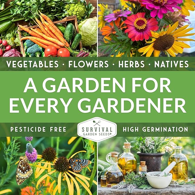 Southern Giant Mustard Green Seeds for Planting – Heirloom Non-GMO Spicy Greens, Heat Tolerant and Slow to Bolt for Home Vegetable Gardens - Survival Garden Seeds (2 Packs)