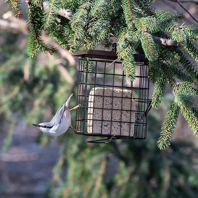 iBorn Suet Feeder Suet Bird Feeders for Outside Hanging,Squirrel Proof Suet Cakes Bird Feeder for Wild Birds,Metal Brown(Pack of 2)