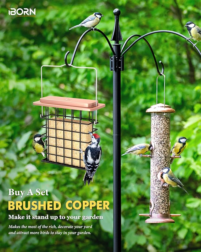 iBorn Suet Feeder Suet Bird Feeders [Single Capacity] for Outside Hanging with Taller Grid for Woodpecker,Metal Brushed Copper（Pack of 1）