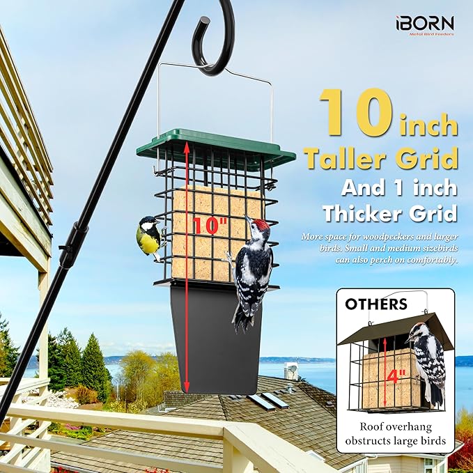 iBorn Suet Feeder with Tail Prop,Woodpecker Feeder,Suet Feeders for Outside Hanging,Suet Bird Feeders for Outdoors,Heavy-Duty Suet Cage,Suet Holder,Rainproof Roof,Easy Clean and Refill,1 Pack,Green