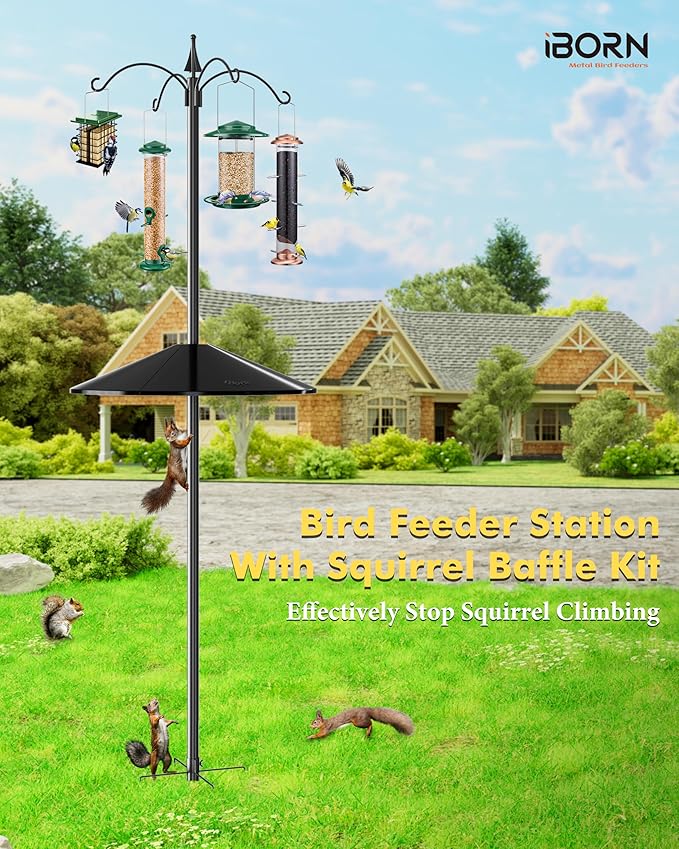 iBorn Bird Feeder Pole with Squirrel Baffle 78'' Wild Bird Feeder Pole Kit,Shepherd Hook with 19.5'' Oversized Guard Baffles for Feeders Outdoor Hanging (Feeders NOT Included)