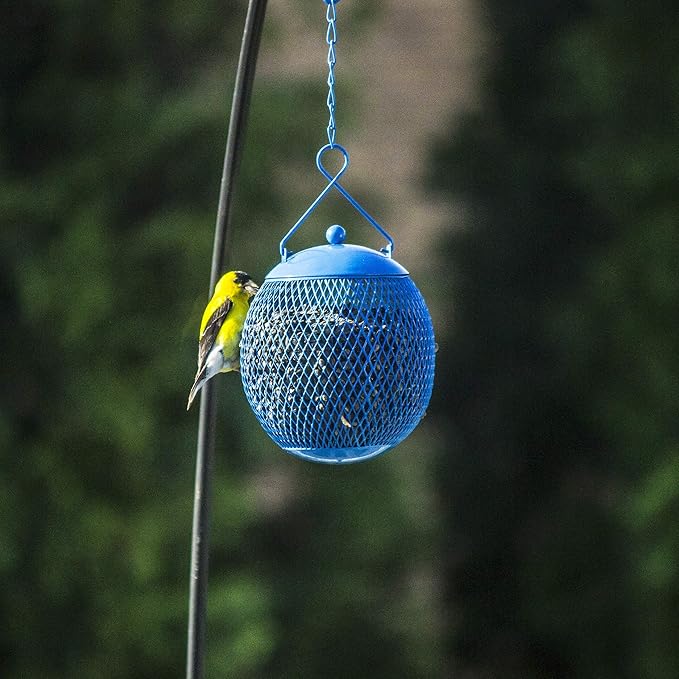 Backyard Expressions - Set of 3 Squirrel Proof Bird Feeders for Outside - Bonus Ebook and Bird Attraction Audio Included - Squirrel Resistant Bird Feeders