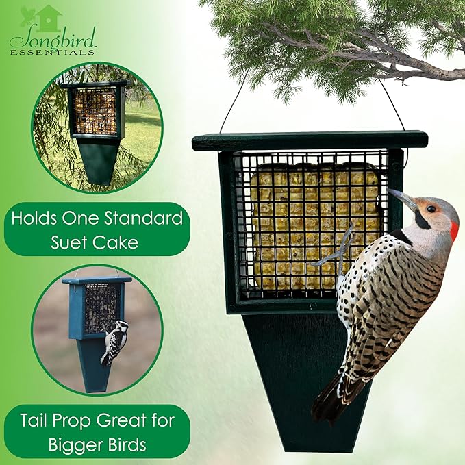 Songbird Essentials Tail Prop Suet Feeder - Recycled Plastic Bird Feeder with Coated Wire Cage for Bird Seed Cakes - Hunter Green