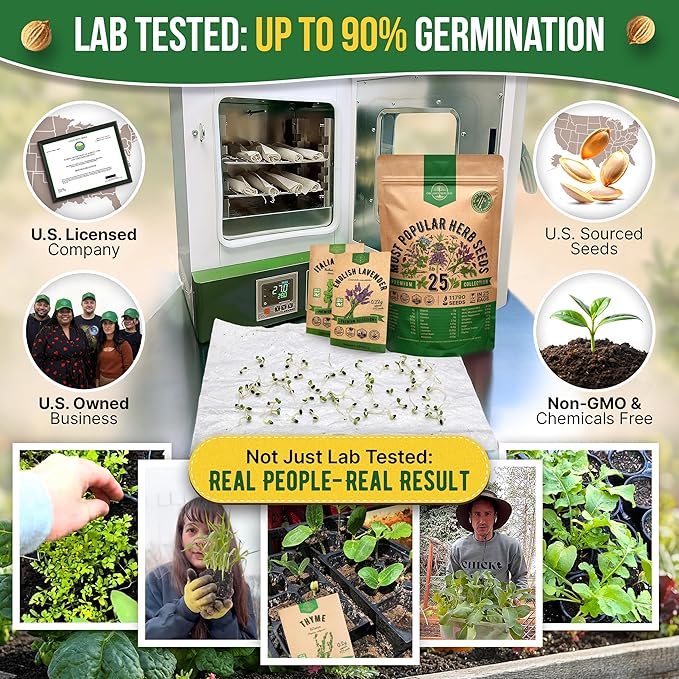 25 Most Popular Herb Seeds Variety Pack - 11,700 Non-GMO Heirloom Seeds for Planting Herbs in Individual Seed Packets for Hydroponic, Indoor & Outdoor Gardening