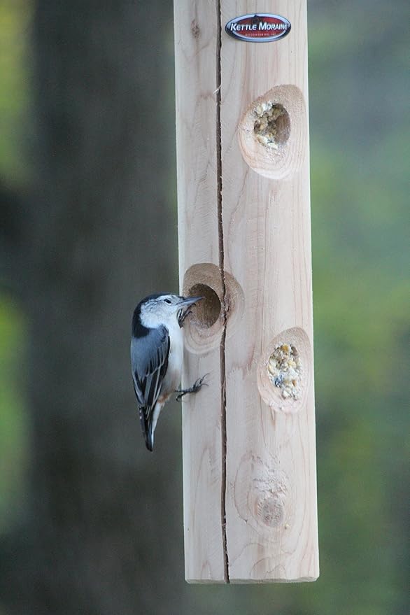 Kettle Moraine Cedar Suet Plug Log Feeder