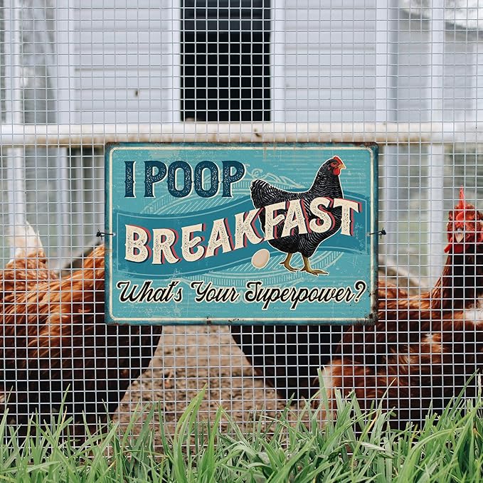 Putuo Decor Chicken Coop Sign, Funny Chicken Egg Metal Signs, I Poop Breakfast What's Your Superpower, Gift Ideas, 12 x 8 Inches Aluminum for Outdoors