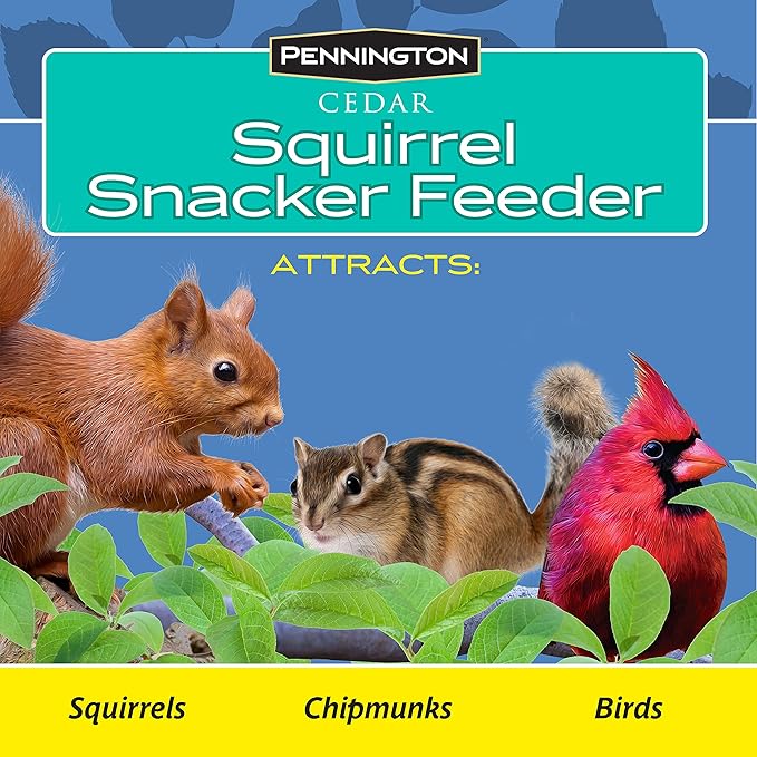 Pennington Cedar Squirrel Snacker Feeder, 2.75 LB Capacity