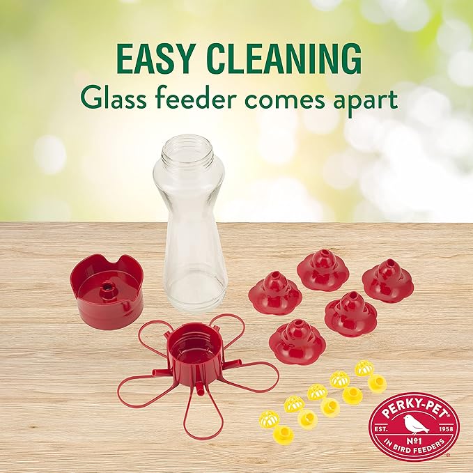 Perky-Pet 204CP-4 Favored Pinch-Waist Glass Hummingbird Feeder with Built-in Ant Moat and Bee Guards - 16 oz (Pack of 2)